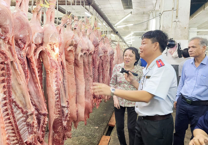 Local governments are instructed to strengthen the inspection and examination of animal health and food safety compliance for slaughterhouses. Photo: TQ.