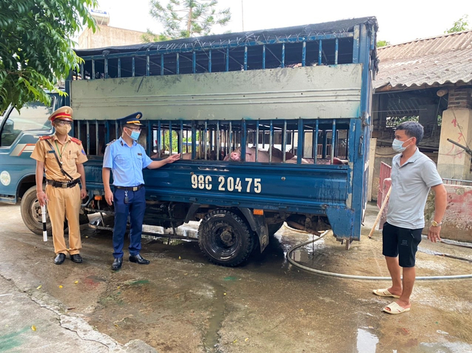 The Ministry of Agriculture and Rural Development advised local People's Committees to strengthen the management of transport quarantine, control of animal slaughter, and compliance with animal health regulations. Photo: TQ.