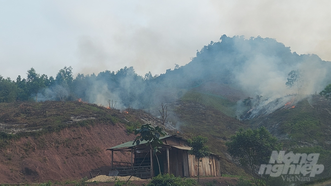 The burning of post-harvest forest vegetation has had negative environmental effects. Photo: Vo Dung.