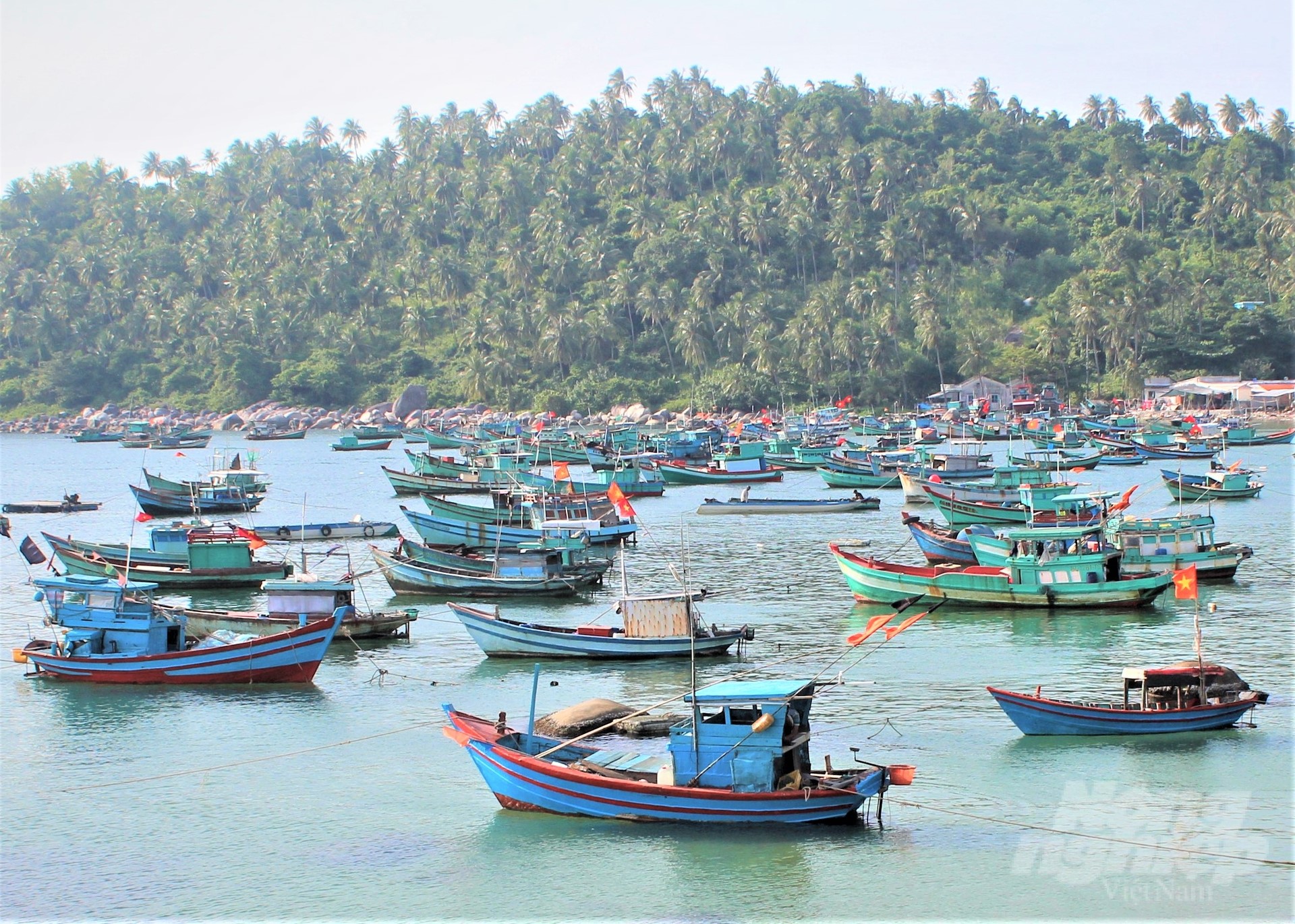Through review and verification, by the end of April 2023, Kien Giang province had 1,006 fishing vessels with the expiration of Fishing Vessel Technical Safety Certificate and Fishing License for over two years. The fishing vessels belong to the category of 'missing' and will be deregistered. Photo: Trung Chanh.