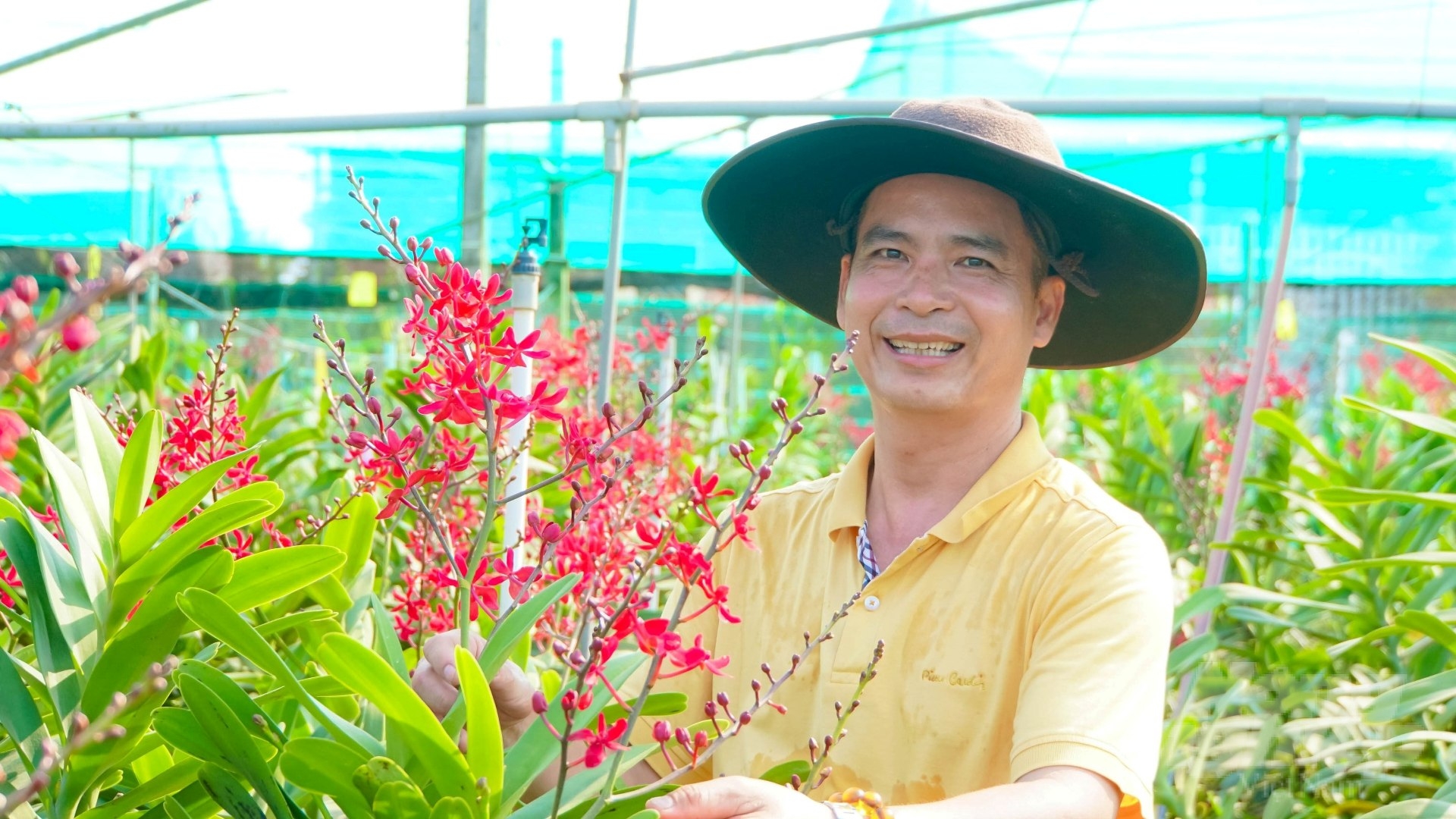 In order to have the crimson orchids blooming every day, Hoang Hoa had to overcome prejudices and put all his faith in the water of the East - Tay Ninh Canal. Photo: Le Binh.