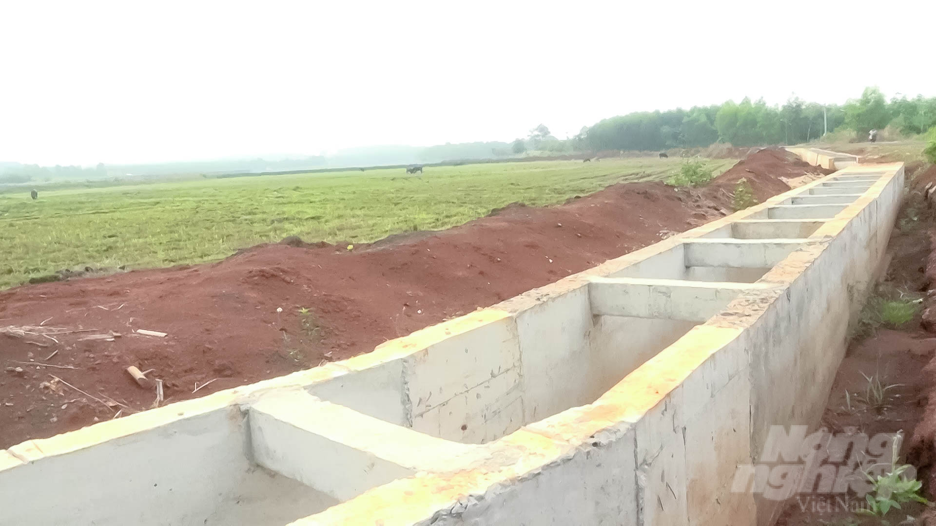 The rate of solidification of the irrigation system of Tay Ninh province reaches more than 72% and will continue to be invested, upgraded and expanded in the coming years. Photo: Tran Trung.
