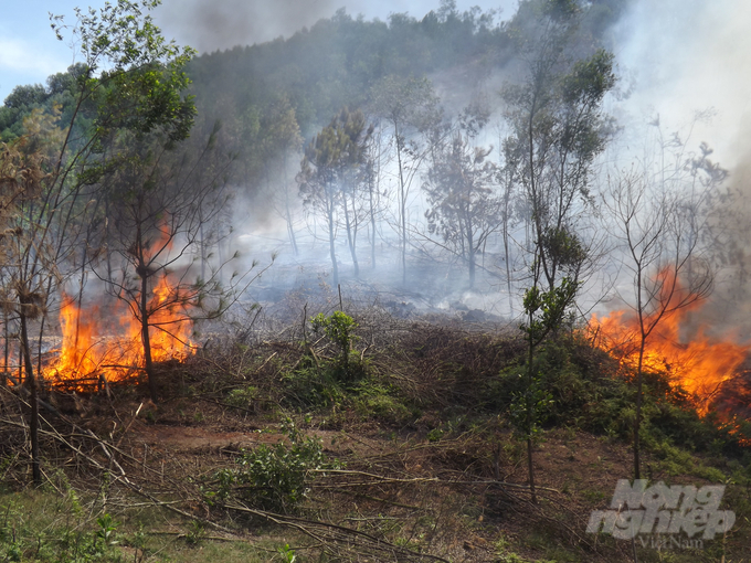 Post-harvest forest vegetation burning damages the ecosystem, increases emissions, and raises the risk of forest fires. Photo: Thanh Nga.