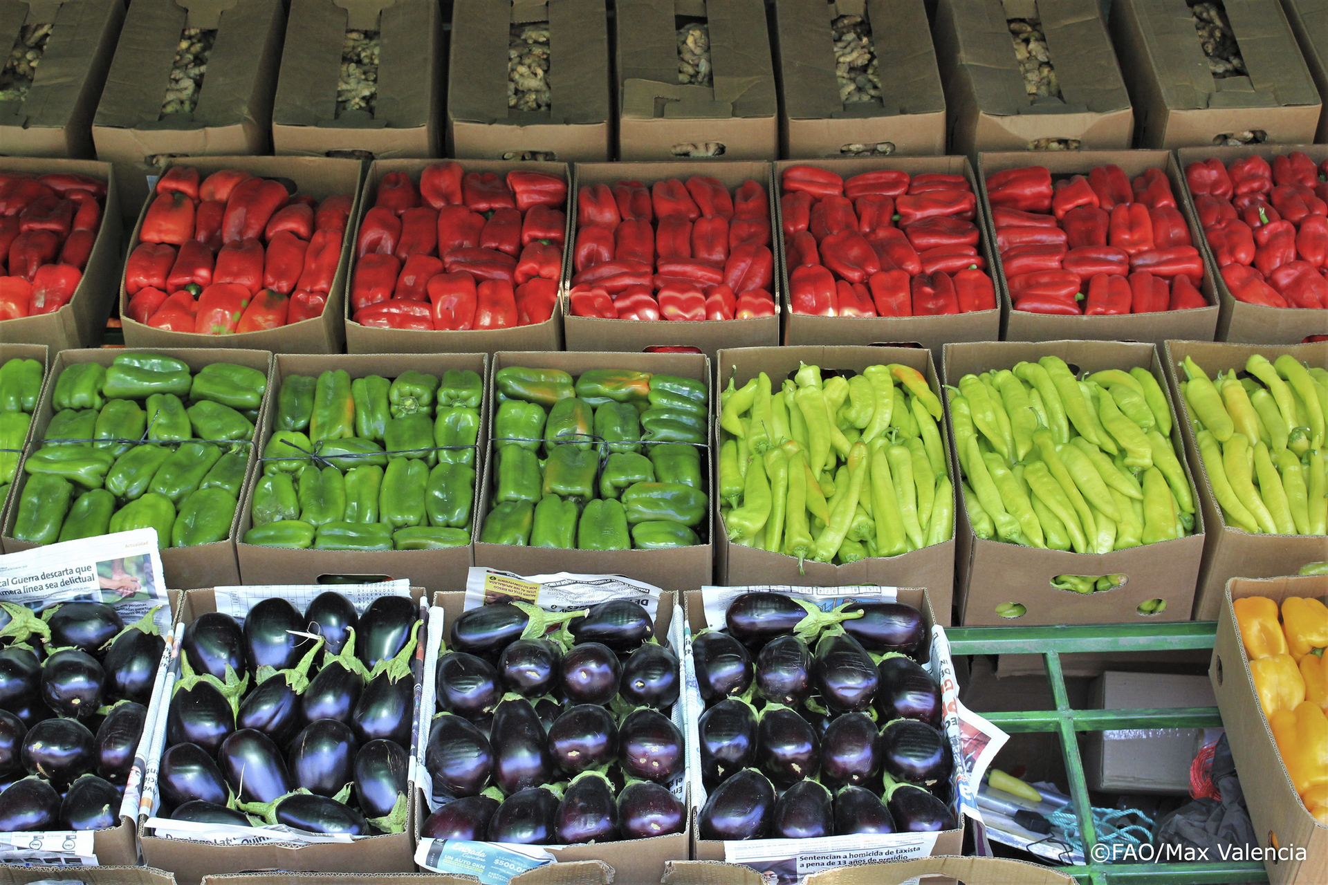 A wholesale vegetable market in Chile. Photo: FAO/Max Valencia