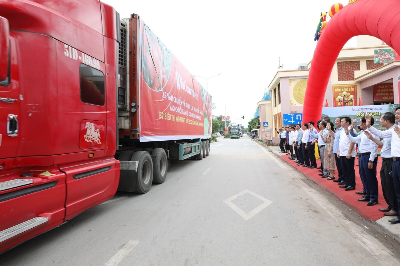 Xe tải vận chuyển vải thiều Lục Ngạn vào chuỗi bán lẻ WCM.