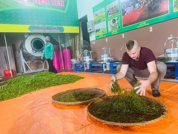 Foreign tourists experience the tea-making profession at Tien Yen Tea Cooperative and Community Tourism. Photo: Toan Nguyen.