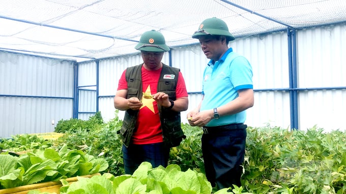Nhà báo Minh Sáng đang ghi nhận chất lượng rau xanh trên Nhà giàn DK1 do Thạc sĩ Ngô Xuân Chinh - người trực tiếp chuyển giao kỹ thuật và giống rau ra quần đảo Trường Sa. Ảnh: MV.