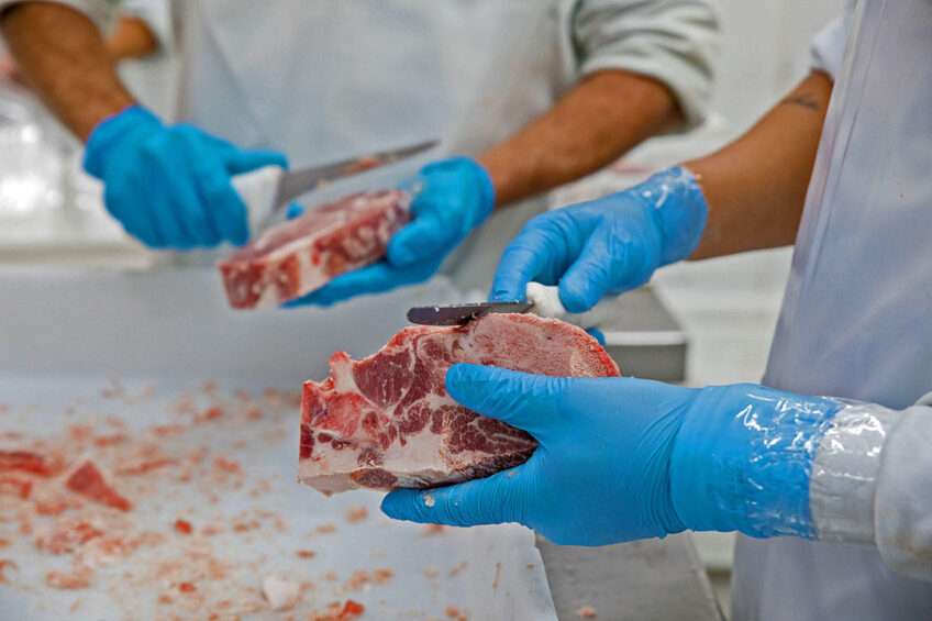 Russian pork sales grew in key export directions, driving further growth in production. Photo: Canva