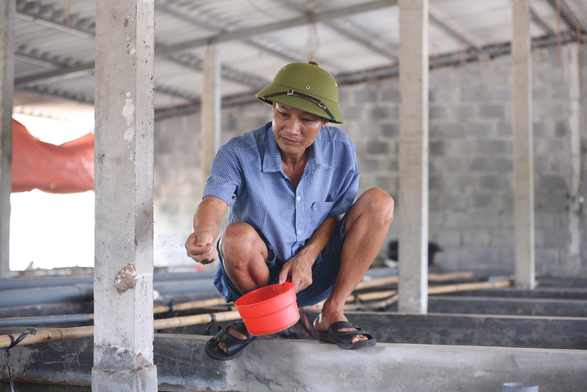 Anh Vũ Văn Như nói nuôi lươn không chỉ chủ động thời gian mà còn nhàn hơn các vật nuôi khác. Ảnh: Tùng Đinh.