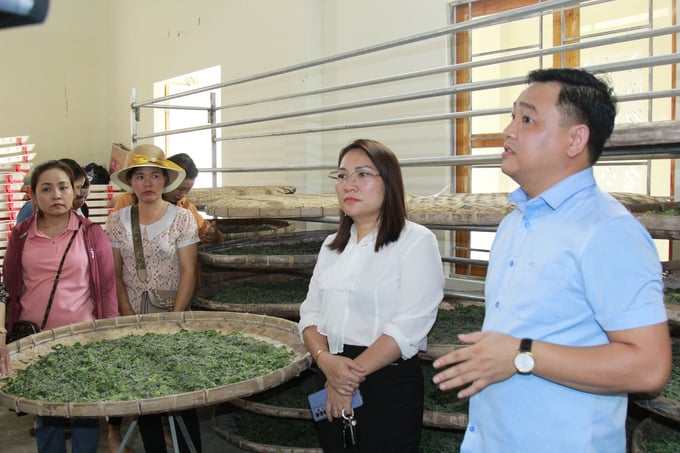 In recent years, the results in sericulture helps Tran Yen district (Yen Bai) draw out many lessons to further develop this industry. Photo: Thanh Tien.