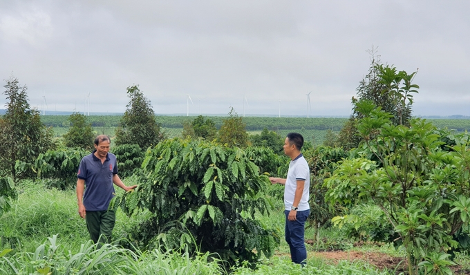 Khu vườn đa cây trồng của gia đình ông Quân giống như điểm du lịch sinh thái. Ảnh: Tuấn Anh.