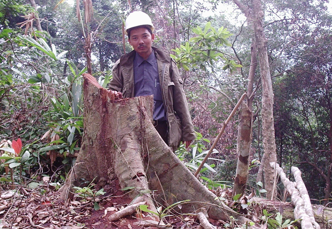 Nhà báo Nguyễn Tâm Phùng trong chuyến xuyên rừng vào điểm khai thác trái phép tại rừng huyện T.H. Ảnh: Quang Bình