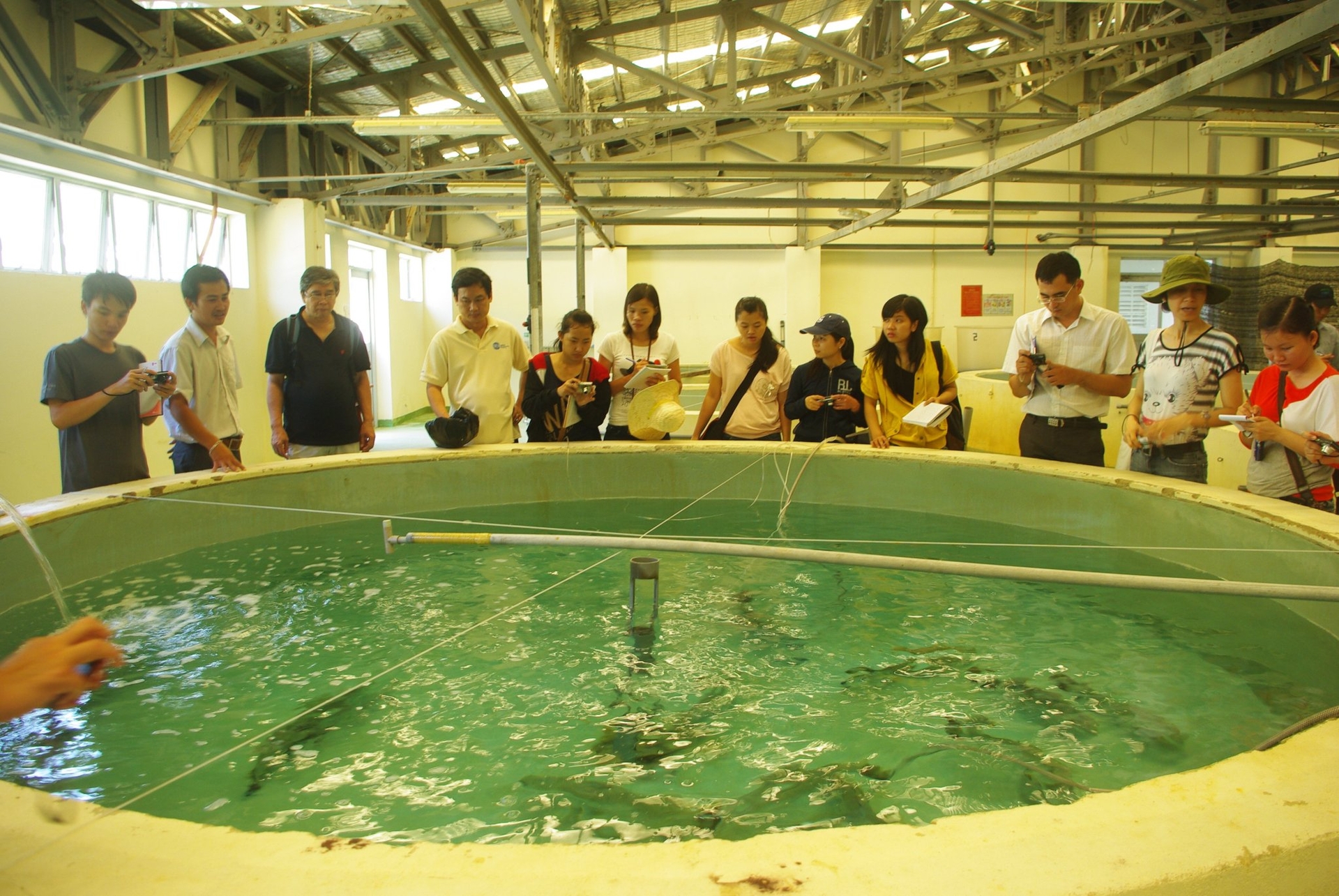 Mô hình nuôi cá theo phương pháp Aquaponics để sinh viên thực nghiệm tại trường.