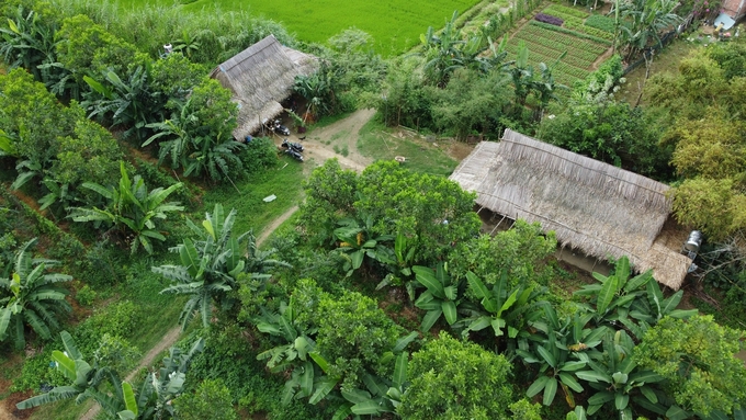 Ecosystems are restored when farming follows nature. Photo: RV.