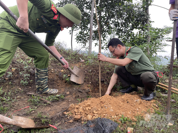 Phòng chào trồng cây xanh được lan tỏa rộng trong các cơ quan, ban, ngành tại Yên Bái. Ảnh: Thanh Hải.