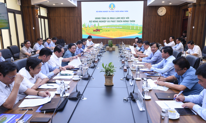 The Ministry of Agriculture and Rural Development worked with the People's Committee of Ca Mau province on the morning of June 11. Photo: Tung Dinh.