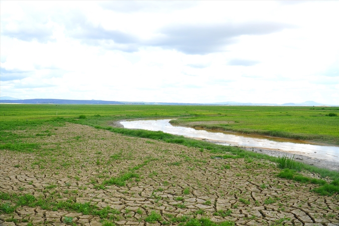 Hồ thủy điện Trị An (Đồng Nai) thiếu hụt nguồn nước nghiêm trọng.