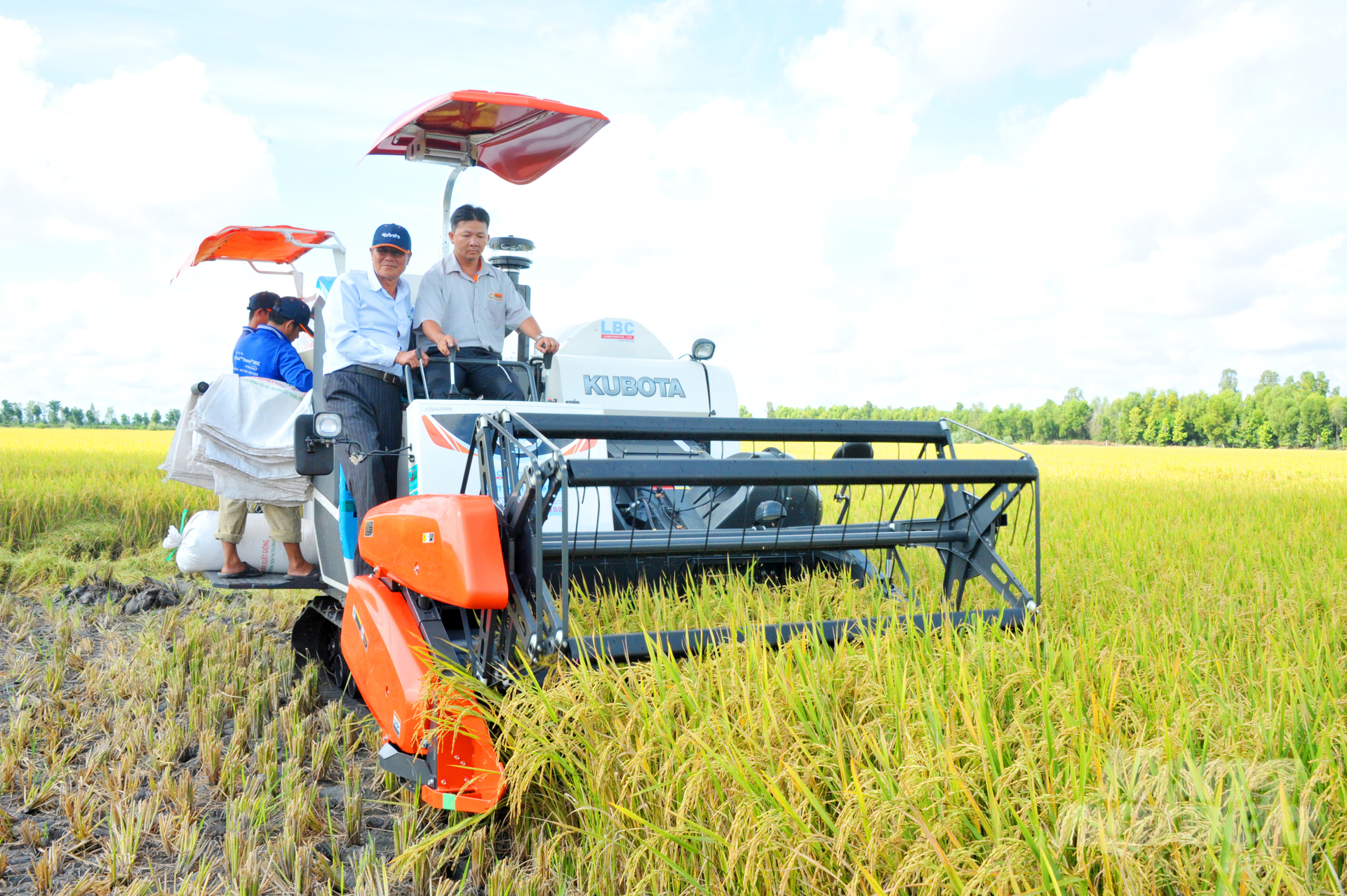 Nhờ áp dụng quy trình canh tác tiên tiến, vụ lúa hè thu ở Đồng Tháp cho lợi nhuận từ 21 - 24 triệu đồng/ha. Ảnh: Lê Hoàng Vũ.