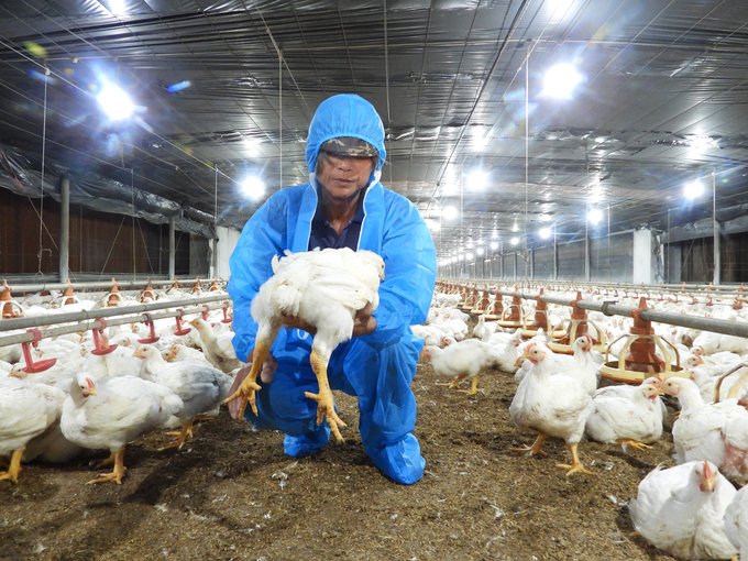Local farmers benefit from attracting investment. Photo: Tran Trung.