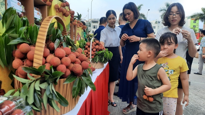 Thanh Ha lychee is popular among consumers in Quang Ninh. Photo: Nguyen Thanh.
