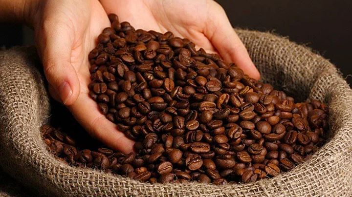 Update the latest coffee market prices on 06/14/2023