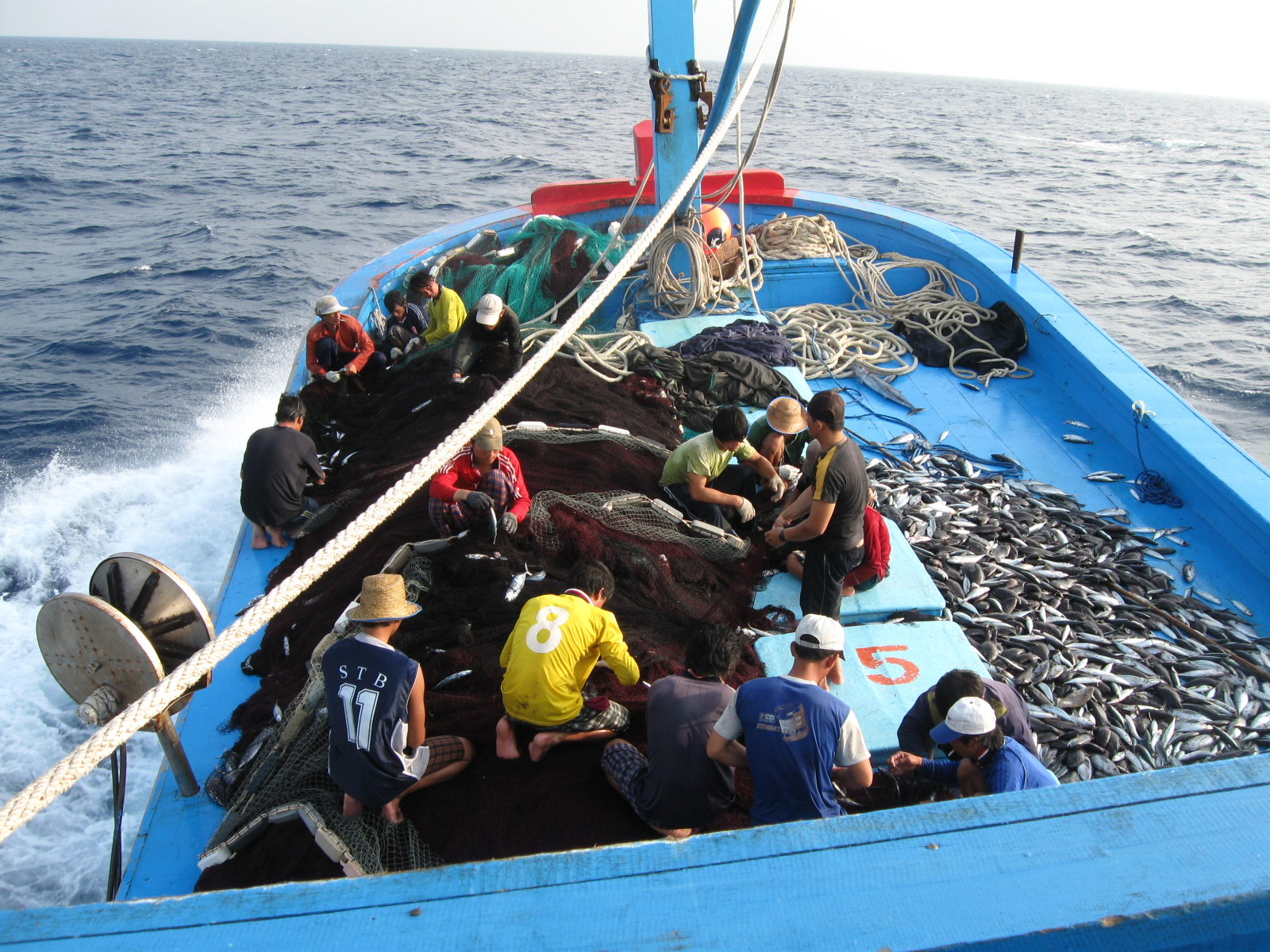 A Binh Dinh province's fishing vessel operating at sea. Photo: V.D.T.