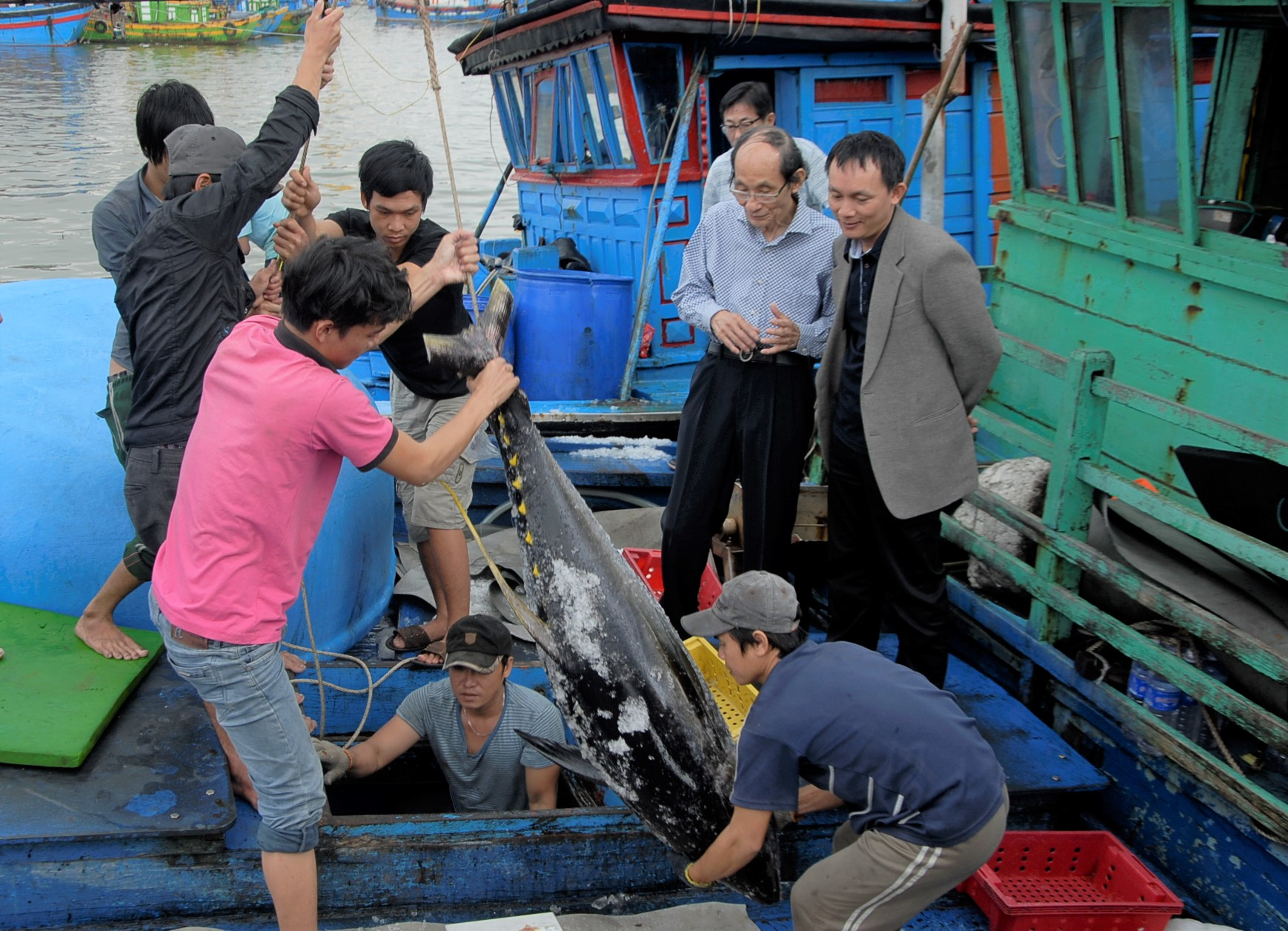 Binh Dinh province is piloting the application of electronic fishing logs on tuna fishing vessels. Photo: V.D.T.