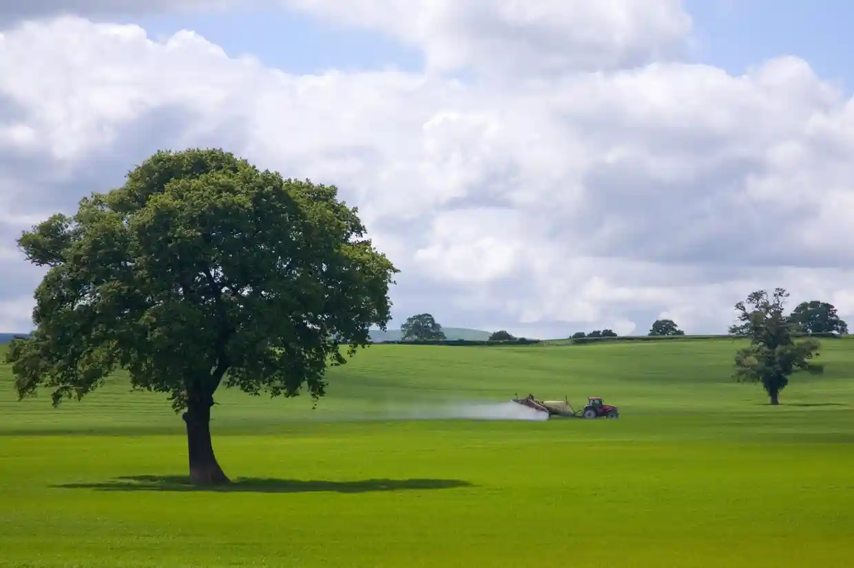 Máy kéo phun thuốc trừ sâu trên cánh đồng ở Shropshire, Anh. Thuốc trừ sâu là một trong những tác nhân chính làm mất môi trường sống và gây hại cho quần thể côn trùng. Ảnh: Peter Barritt/Alamy.