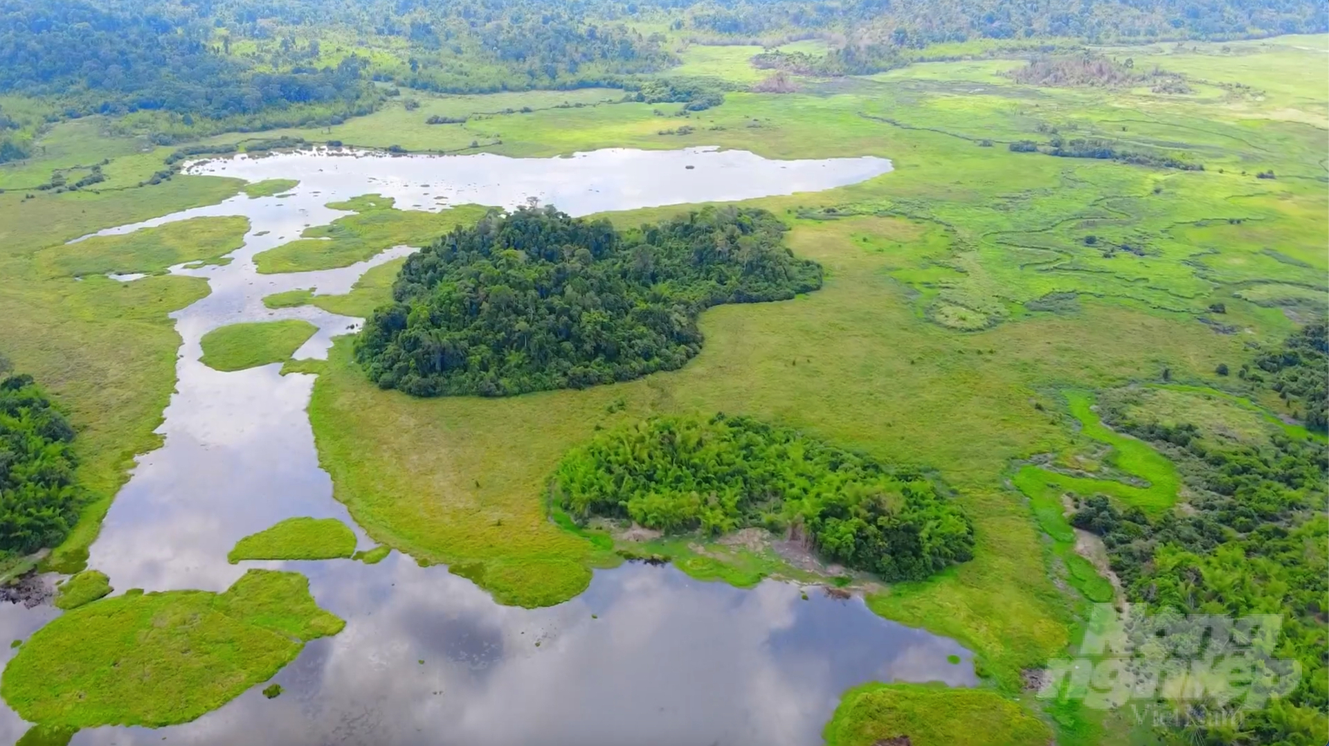 Vùng đất ngập nước Bàu Sấu trong Vườn Quốc gia Cát Tiên, một trong 9 khu Ramsar của Việt Nam. Ảnh: Hồng Thuỷ.