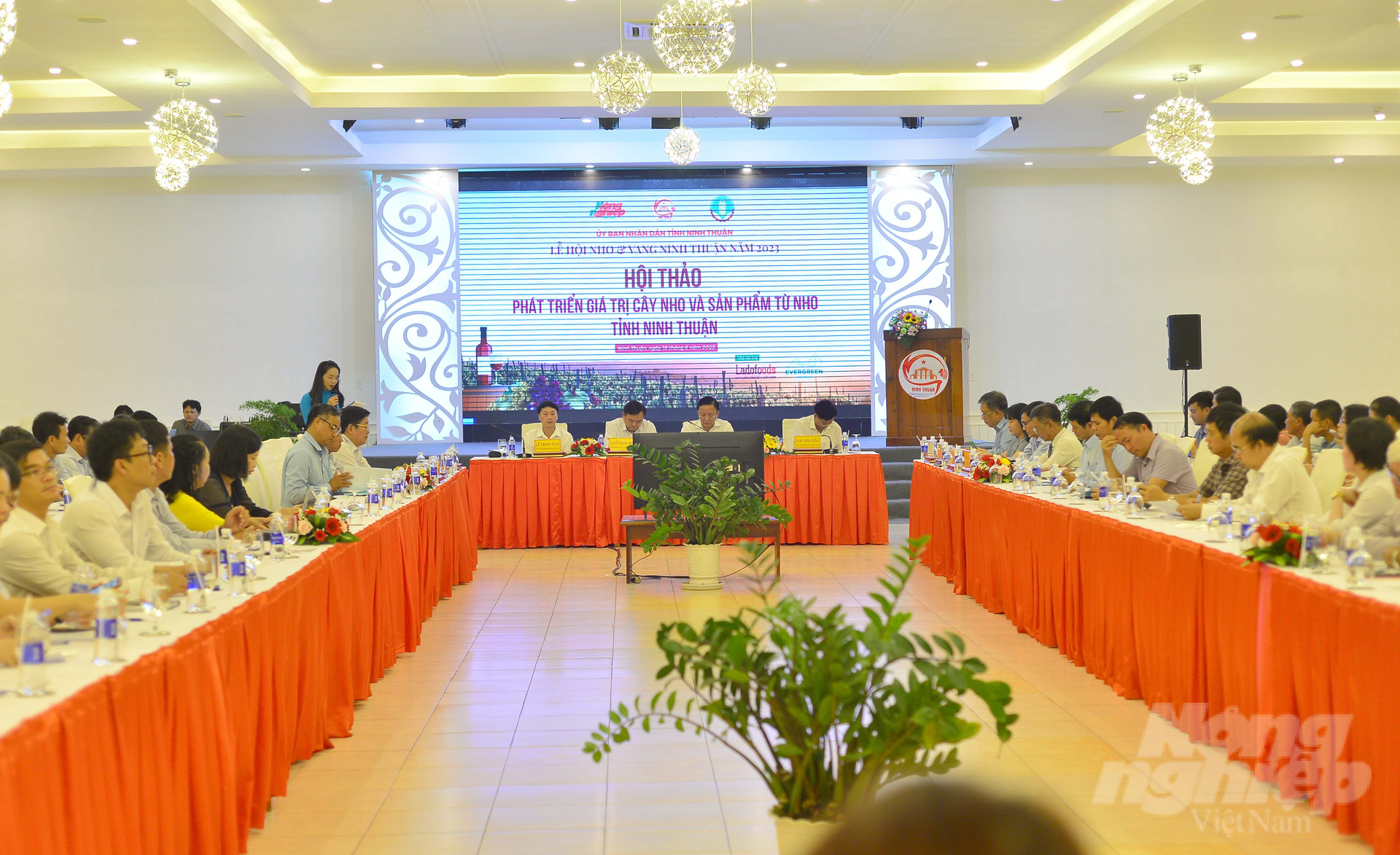Hội thảo phát triển giá trị cây nho và sản phẩm từ nho tỉnh Ninh Thuận diễn ra ngày 16/6. Ảnh: Minh Hậu.