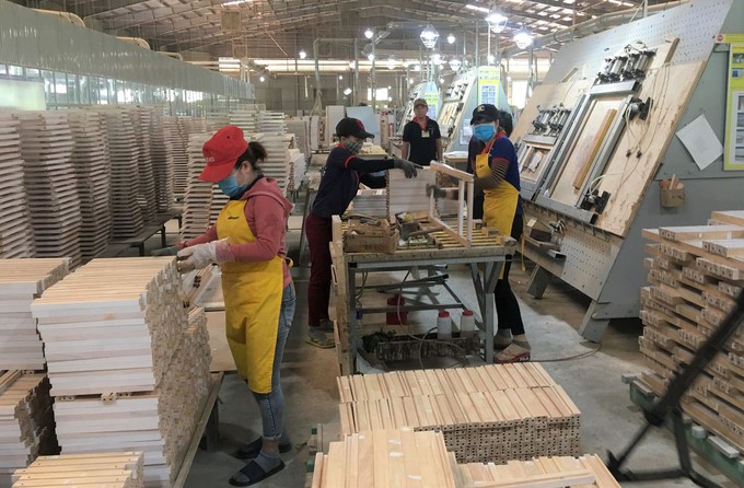 Vietnam's wood industry urgently needs to transform production to reduce GHG emissions. Photo: V.D.T.