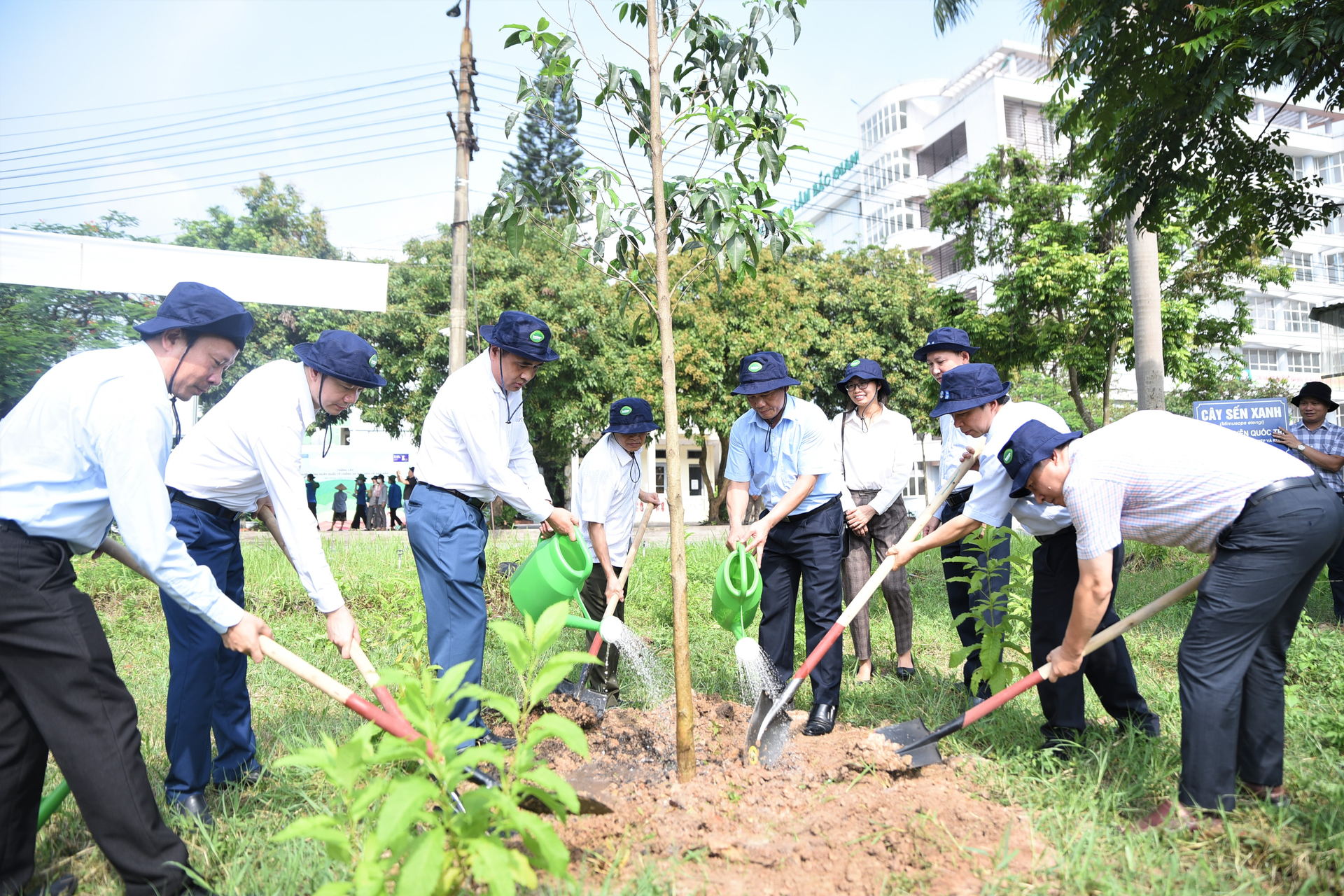 Deputy Minister Nguyen Quoc Tri and delegates planted trees to respond to the International Day against Desertification and Drought in 2023. Photo: Pham Hieu.