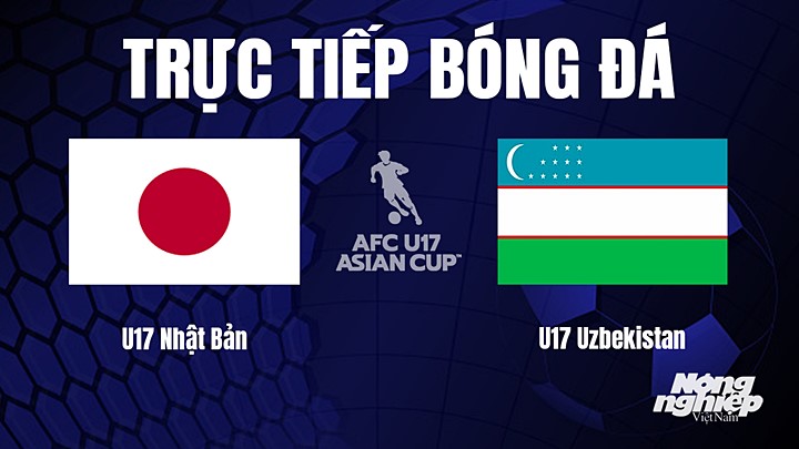 Trực tiếp bóng đá U17 Châu Á 2023 giữa Nhật Bản vs Uzbekistan hôm nay 17/6/2023