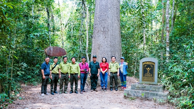 Phóng viên Báo Nông nghiệp Việt Nam cùng lực lượng kiểm lâm Tây Ninh chụp ảnh lưu niệm dưới gốc cây Vên Vên - một trong hai cây di sản Việt Nam tại VQG Lò Gò - Xa Mát. Ảnh: Lê Bình.