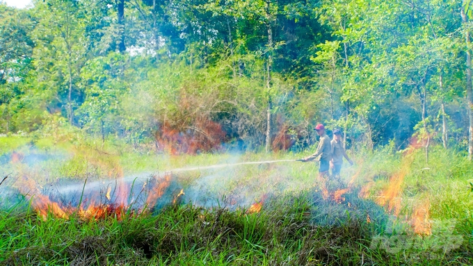 Mùa mưa đến, nỗi lo cháy rừng không còn thường trực nhưng đó cũng là lúc những người giữ rừng ở Tây Ninh đối mặt với những hiểm nguy khác. Ảnh: Trần Trung.