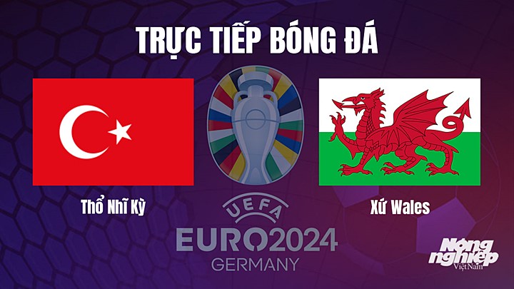 Trực tiếp bóng đá vòng loại EURO 2024 giữa Thổ Nhĩ Kỳ vs Xứ Wales hôm nay 20/6/2023