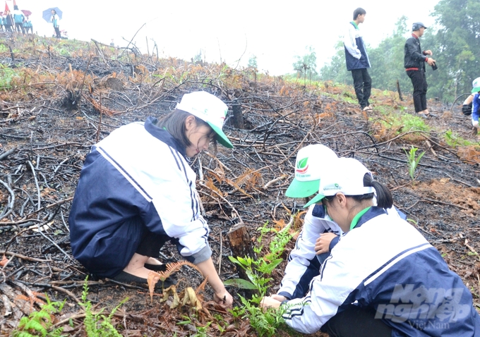Hàng năm các địa phương trong khu vực Việt Bắc thực hiện trồng mới hàng nghìn ha rừng. Ảnh: Đào Thanh.