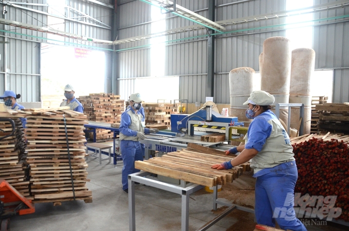 Tuyên Quang là trung tâm của khu vực Việt Bắc về hoạt động sản xuất, chế biến gỗ. Ảnh: Đào Thanh.