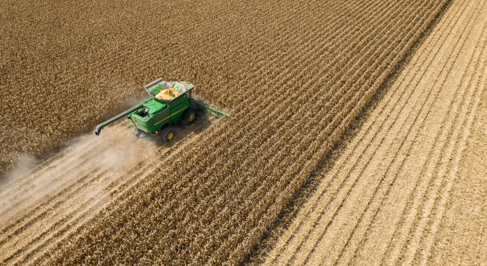 A combine tractor harvests corn in Leland, Mississippi, on Tuesday, August 16, 2022. Photo: Rory Doyle/Bloomberg