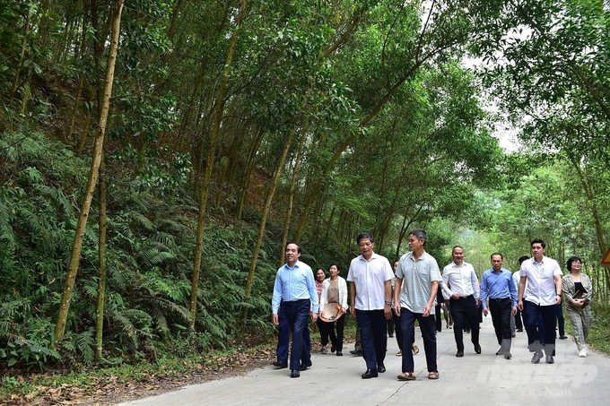 Ông Trần Tuấn Anh, Ủy viên Bộ Chính trị, Trưởng ban Kinh tế Trung ương cùng lãnh đạo tỉnh Tuyên Quang tham quan mô hình trồng rừng tại Tuyên Quang. Ảnh: Đào Thanh.