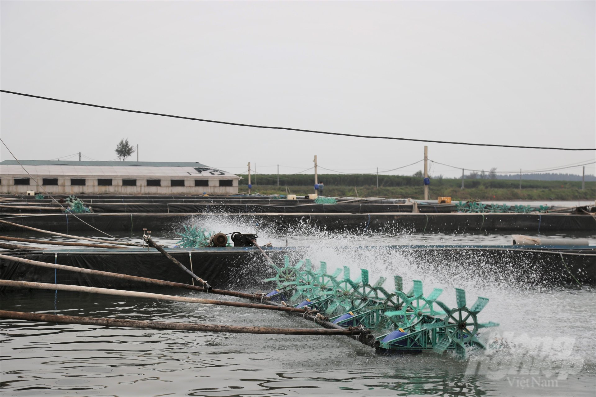 Hàng trăm ha đầm bãi nuôi trồng thủy sản của huyện Nghĩa Hưng bị thu hồi không đền bù. Ảnh: Kiên Trung.