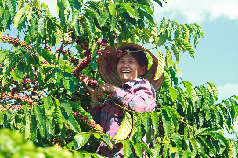 Chương trình hợp tác sẽ kéo dài tới tháng 12/2024. Ảnh: Trung Quân.