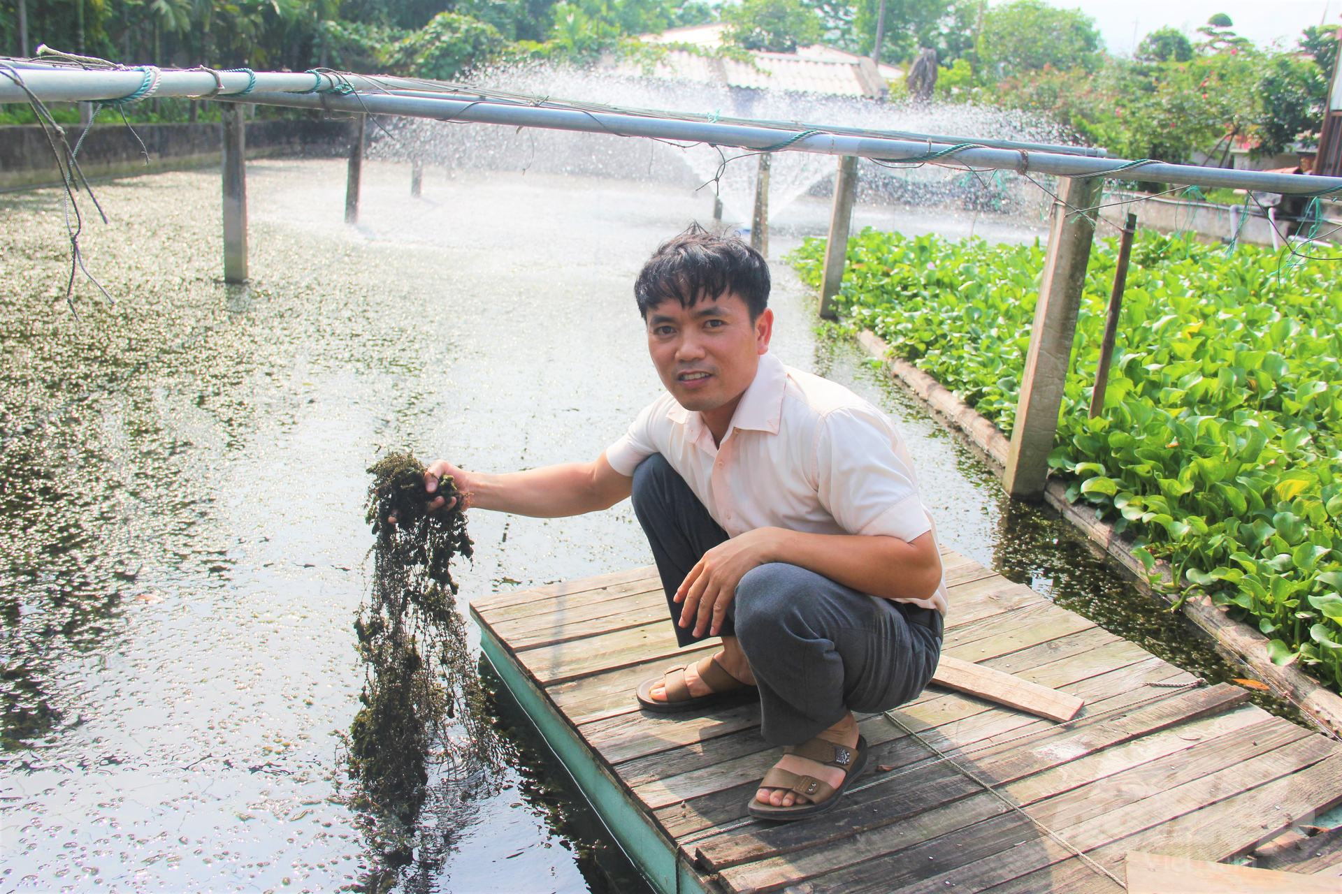 Nguồn nước trước khi cấp vào bể nuôi lươn được anh Quang xử lý kỹ lưỡng tại hệ thống ao lắng, bể lọc. Ảnh: Trung Quân.
