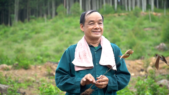 Ông Đặng Nho Phương bên rừng cây vừa trồng được mấy tháng đã chết khô. Ảnh: Ngọc Tú. 