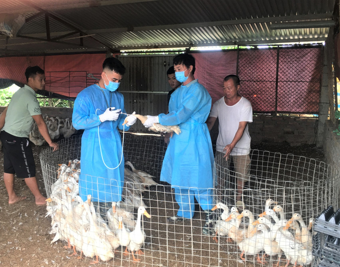 Theo Bộ trưởng Lê Minh Hoan, mỗi cán bộ thú y không chỉ làm việc về mặt chuyên môn mà cần trở thành những người nghiên cứu về mặt xã hội, cấu trúc xã hội. Ảnh: Linh Linh.