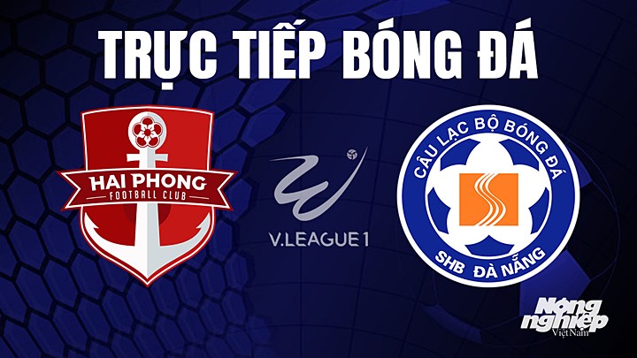 Trực tiếp bóng đá V-League 2023 giữa Hải Phòng vs Đà Nẵng hôm nay 24/6/2023