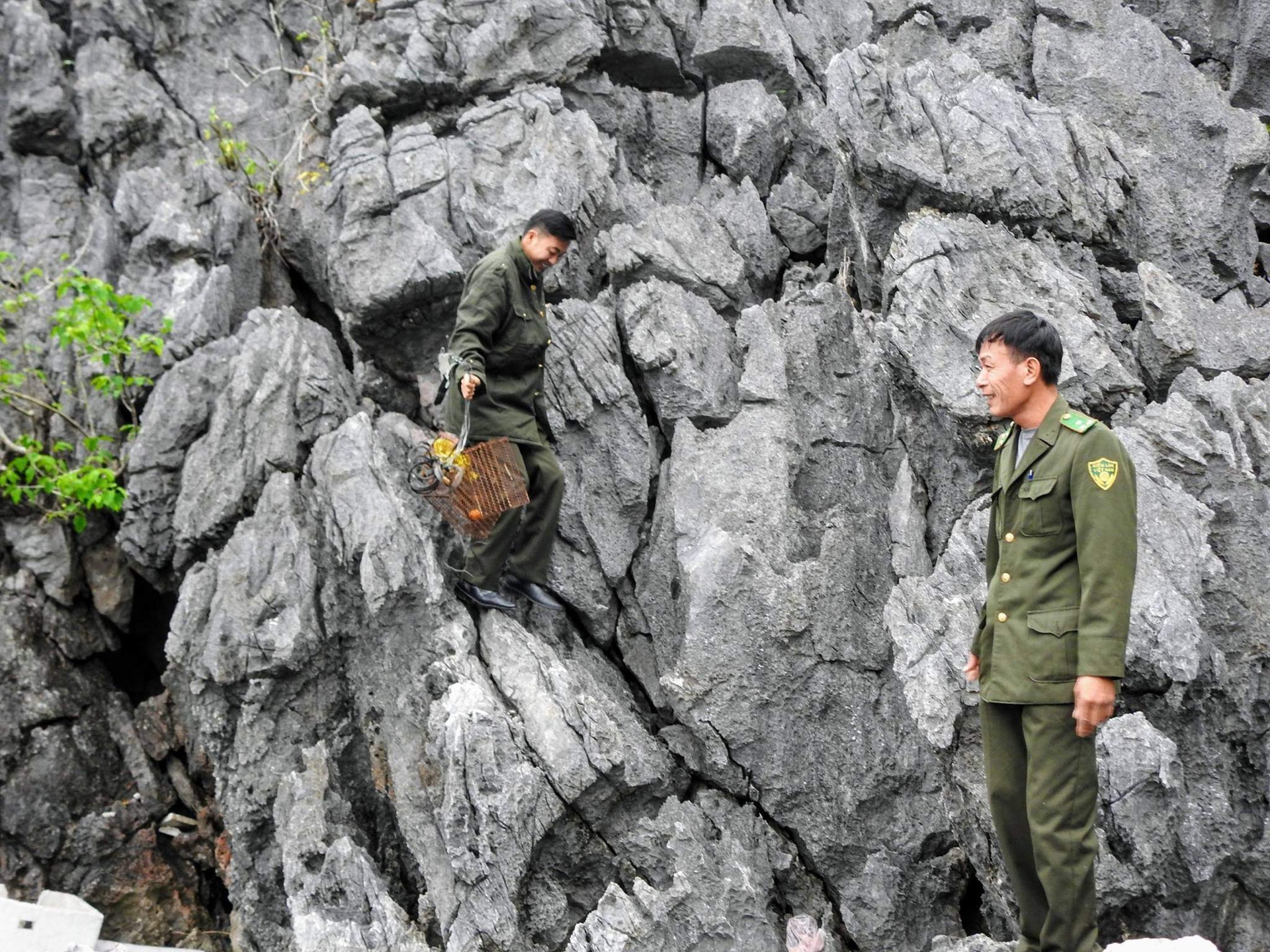 Lực lượng kiểm lâm Vườn quốc gia Cát Bà tăng cường tuyên truyền và xử lý nghiêm các hành vi săn bắt động vật hoang dã. Ảnh: Huy Cầm.