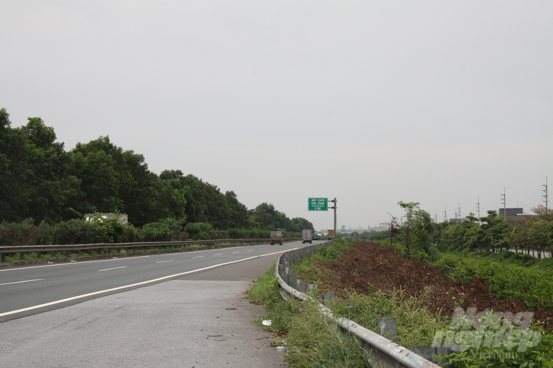 Cây xanh trên đường cao tốc Pháp Vân - Cầu Giẽ đoạn nút giao Đại Xuyên đến nút giao Liêm Tuyền bị chặt hạ những ngày qua. Ảnh: Kiên Trung.