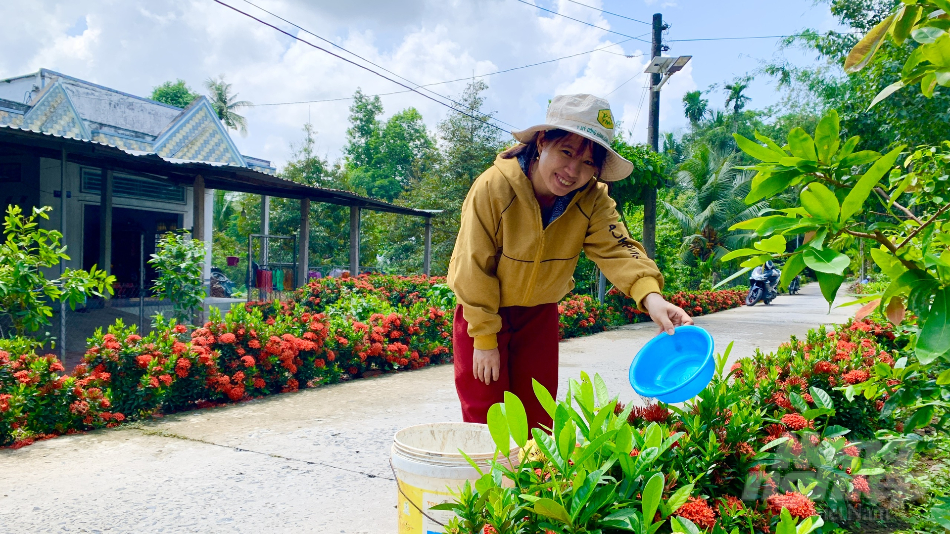 Những con đường hoa rực rỡ làm nao lòng du khách gần xa khi về thăm làng quê Ngã Bảy. Ảnh: Hồ Thảo.