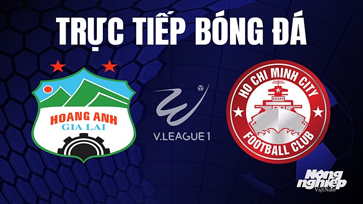 Trực tiếp bóng đá V-League 2023 giữa HAGL vs TP.HCM hôm nay 5/8/2023